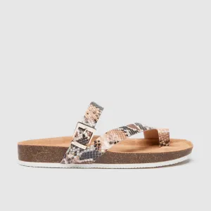 Shelly II Dusty Blossom Python Print