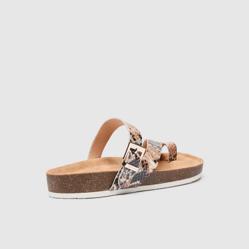Shelly II Dusty Blossom Python Print