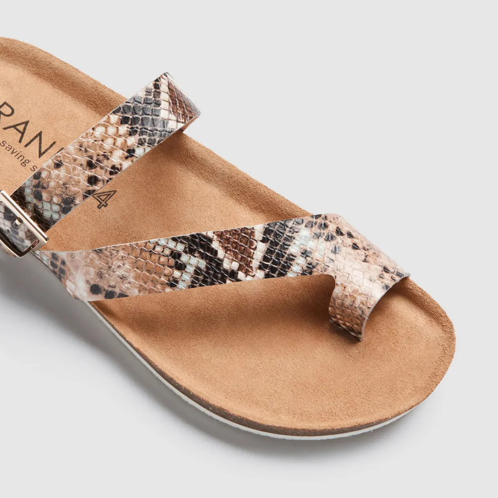 Shelly II Dusty Blossom Python Print